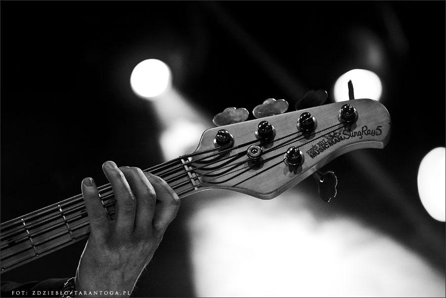 Wishbone Ash