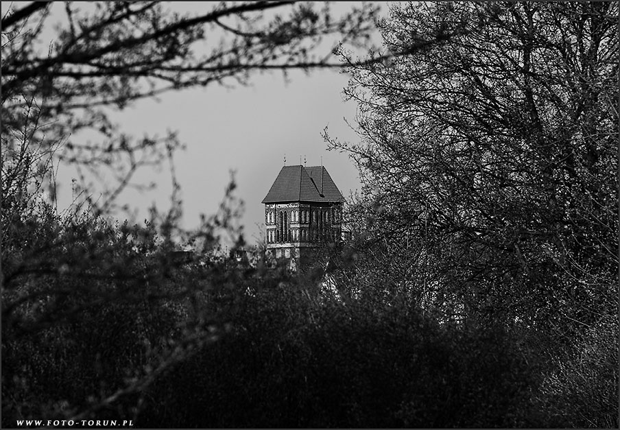 Toruń na fotografiach - foto-torun.pl