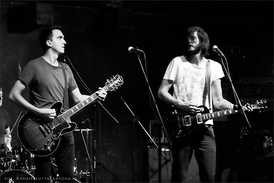 the poise rite - lizard king