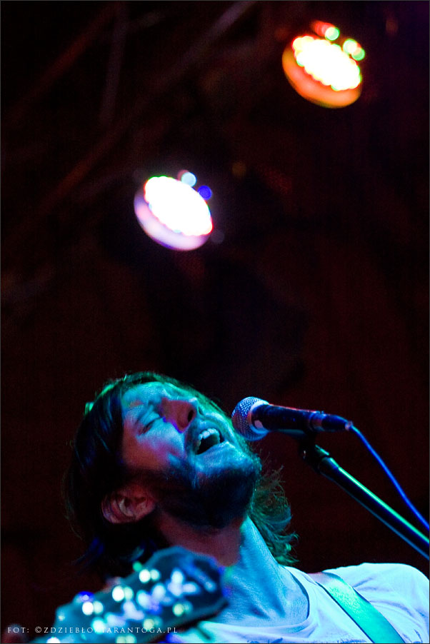 the poise rite - lizard king