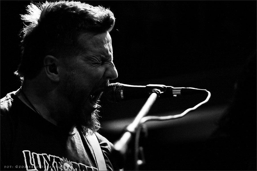 luxtorpeda - lizard king torun