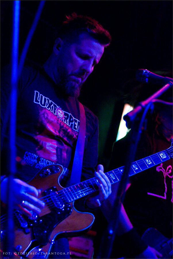 luxtorpeda - lizard king torun