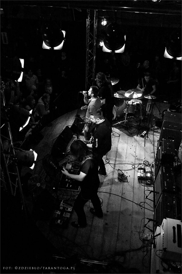 luxtorpeda - lizard king torun
