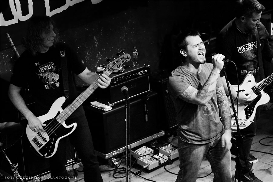 luxtorpeda - lizard king torun