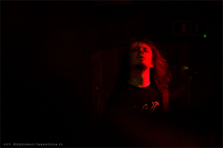 luxtorpeda - lizard king torun