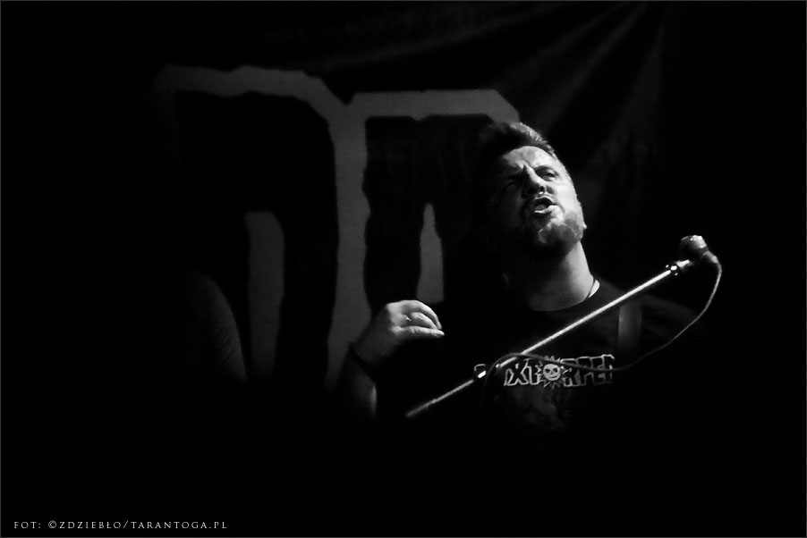luxtorpeda - lizard king torun