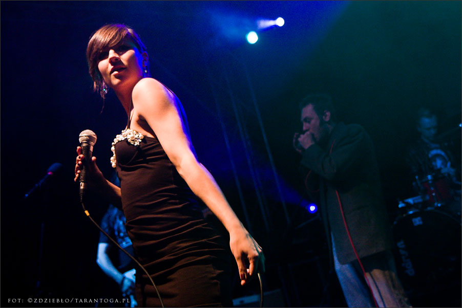 Tortilla - Toruń Blues Meeting OdNowa