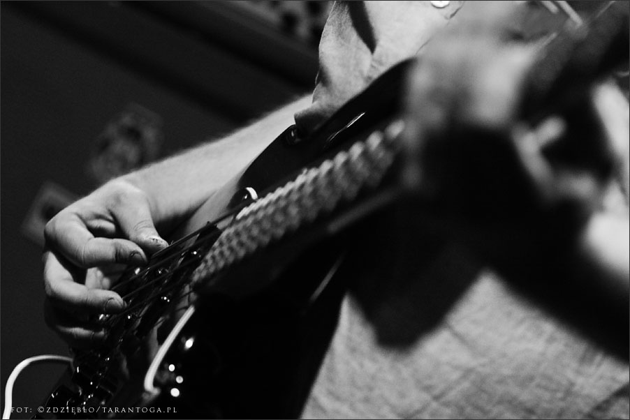 Tortilla - Toruń Blues Meeting OdNowa