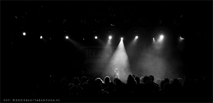 Tortilla - Toruń Blues Meeting OdNowa