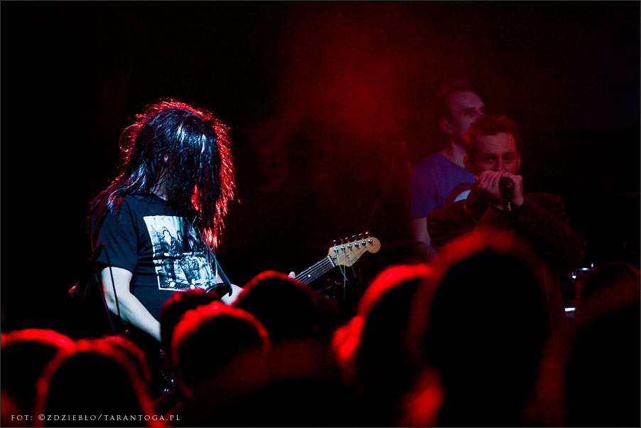 Tortilla - Toruń Blues Meeting OdNowa