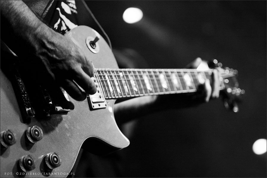 Dzem - Toruń Blues Meeting OdNowa