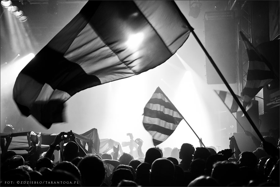 glaca orion my riot ciechowski odnowa