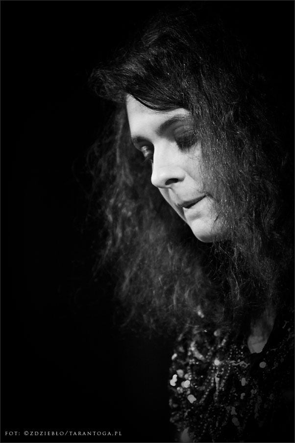 maja olenderek dwór artusa