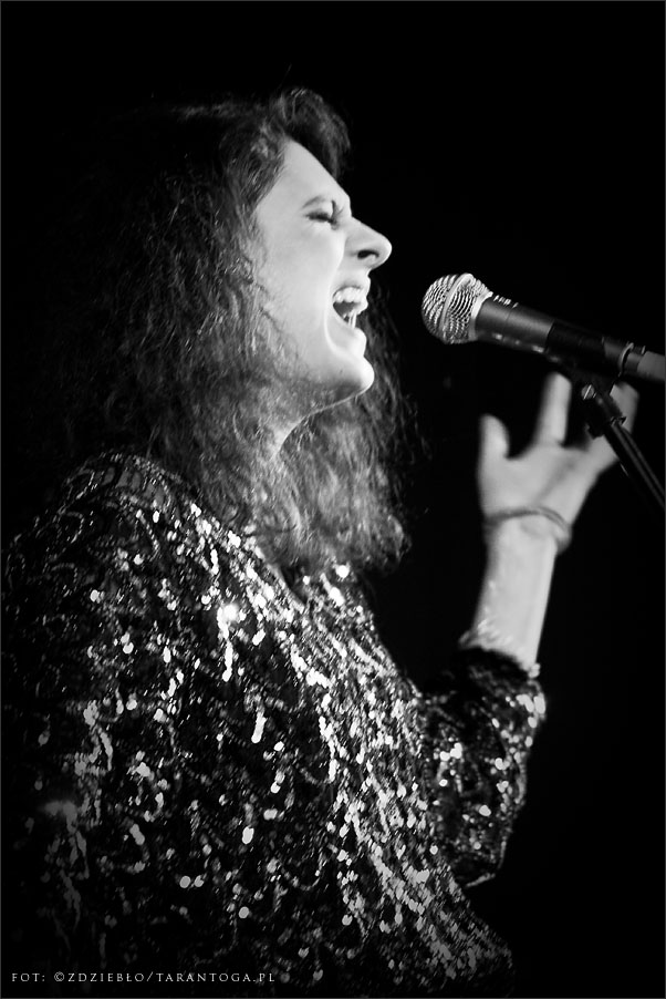 maja olenderek dwór artusa