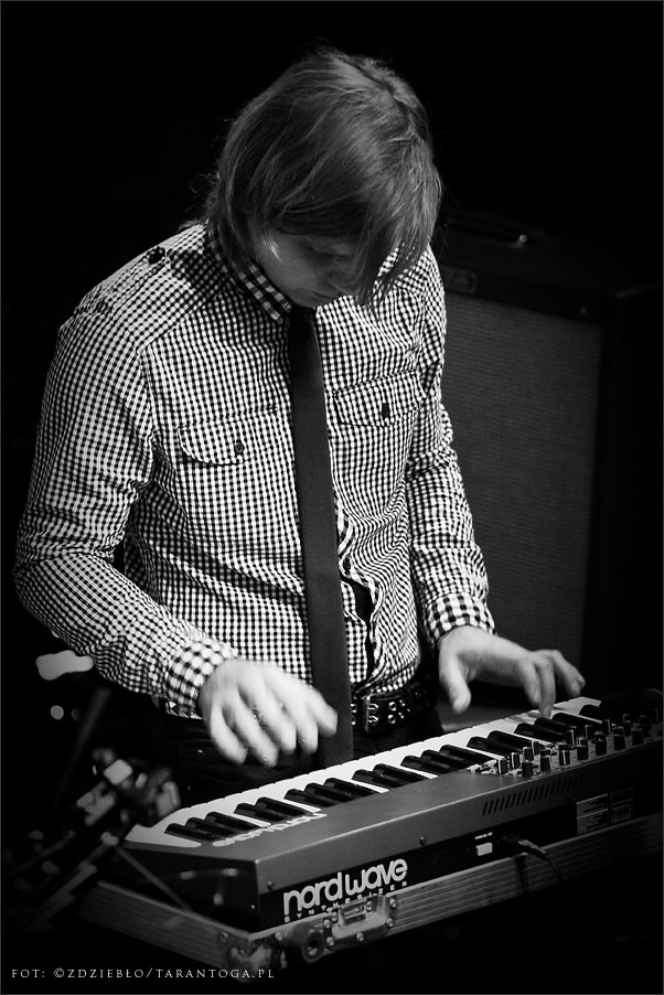 hotel kosmos lizard king