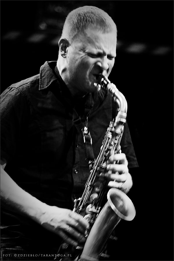 jazz odnowa festiwal riverloam trio