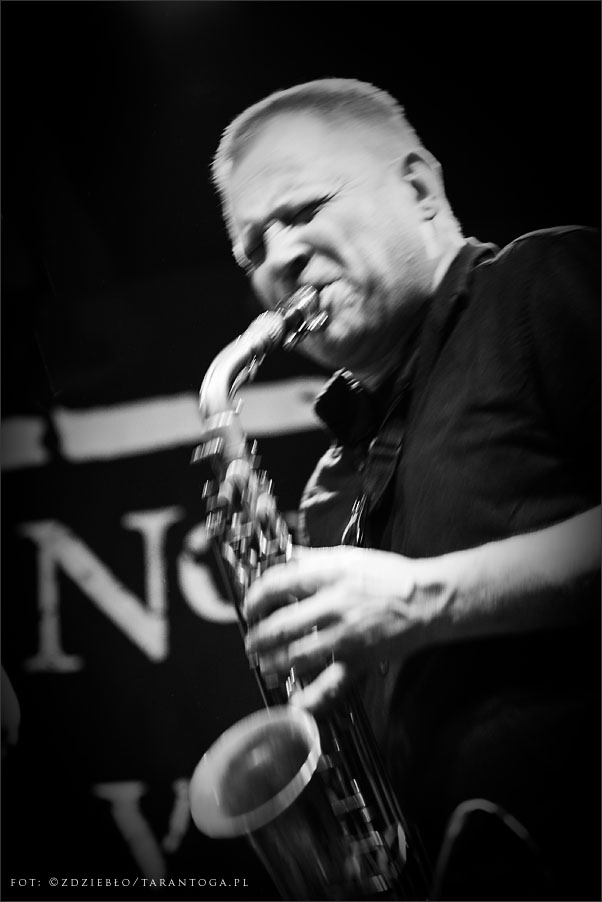 jazz odnowa festiwal riverloam trio