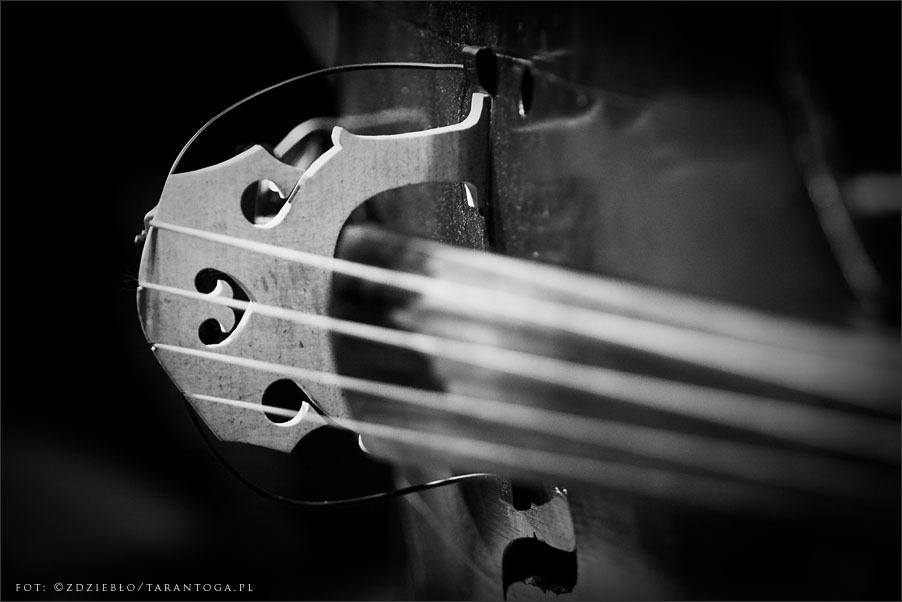 jazz odnowa festiwal riverloam trio