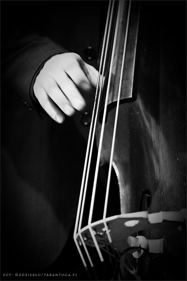 jazz odnowa festiwal piotr wojtasik quartet