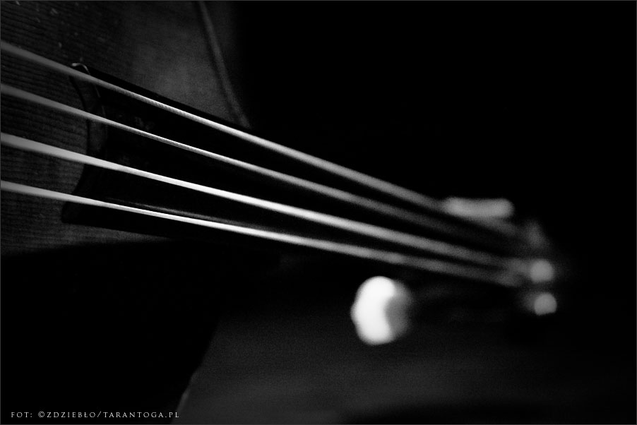 jazz odnowa festiwal piotr wojtasik quartet