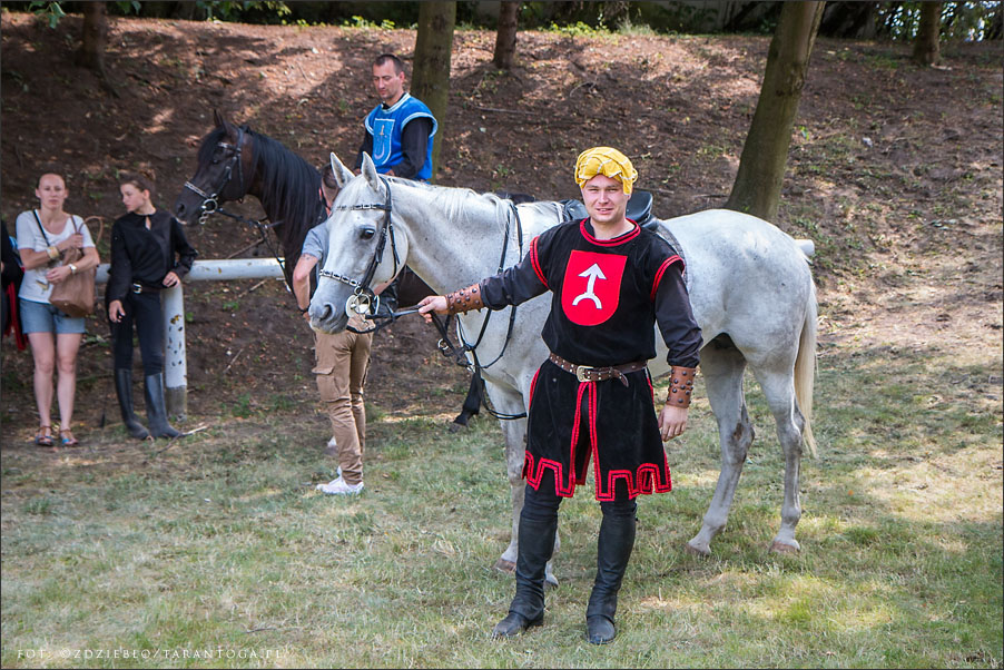 turniej rycerski zamek golubski